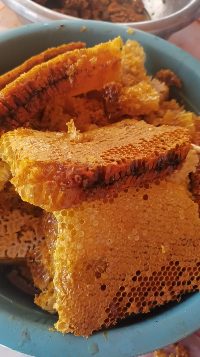 正宗土蜂蜜