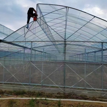 我公司专业生产大棚管冷棚暖棚几字钢大棚畜牧养殖棚