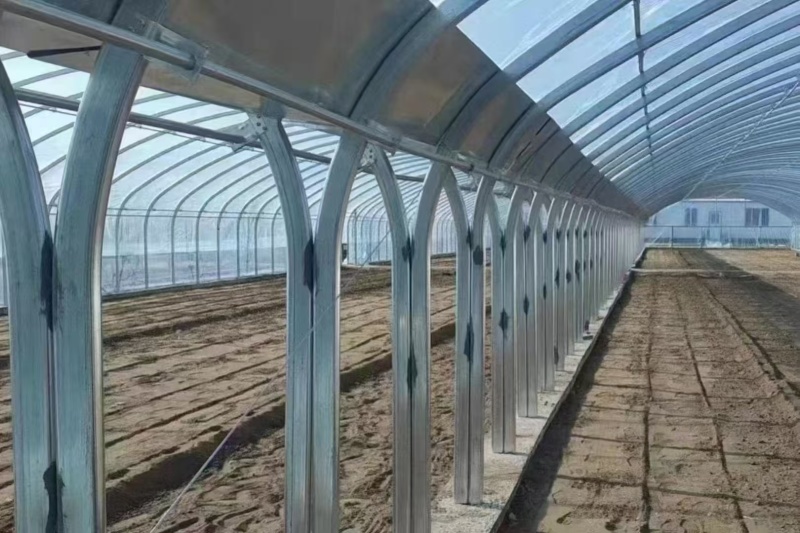 我公司专业生产大棚管冷棚暖棚几字钢大棚畜牧养殖棚