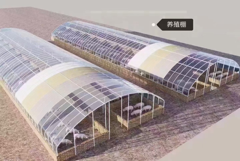 我公司专业生产大棚管冷棚暖棚几字钢大棚畜牧养殖棚