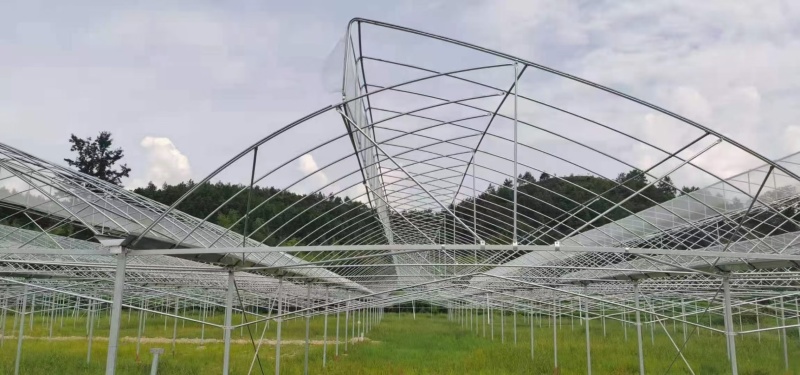 我公司专业生产大棚管冷棚暖棚几字钢大棚畜牧养殖棚