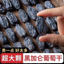 新疆吐鲁番特产黑加仑葡萄干大颗粒无梗***黑玫瑰零食干果