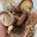野生香菇价格便宜无碎大朵香菇无硫干香菇汤味鲜美蘑菇香菇菌