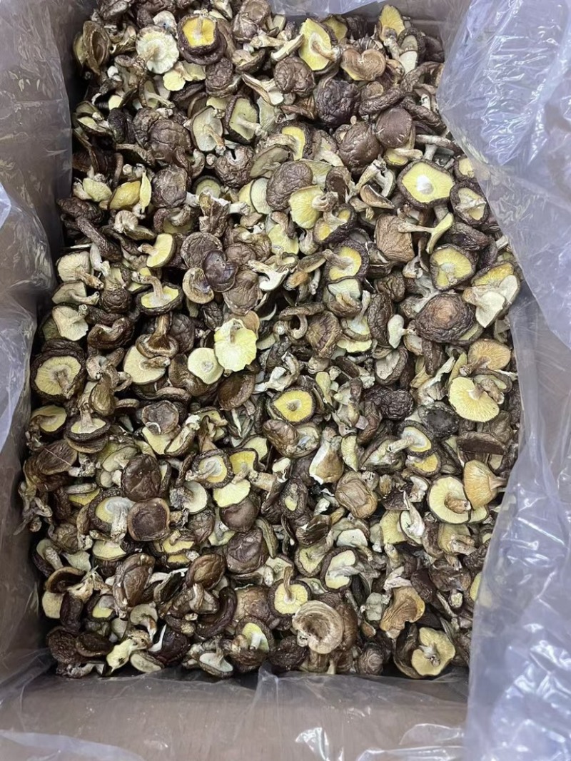 野生香菇价格便宜无碎大朵香菇无硫干香菇汤味鲜美蘑菇香菇菌