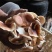 野生香菇价格便宜无碎大朵香菇无硫干香菇汤味鲜美蘑菇香菇菌