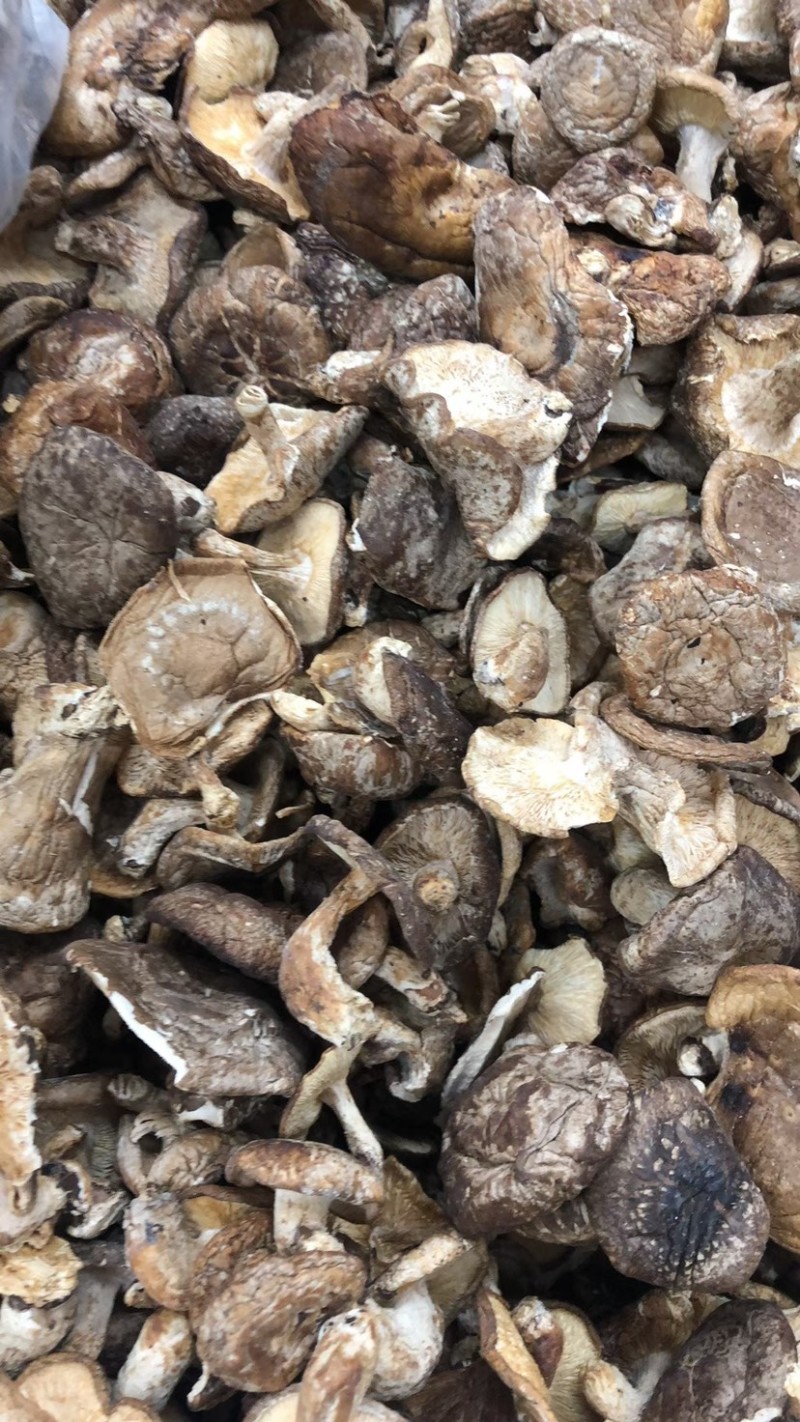 野生香菇价格便宜无碎大朵香菇无硫干香菇汤味鲜美蘑菇香菇菌