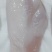 鲜老鸡胸