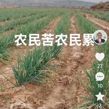 农村自己货