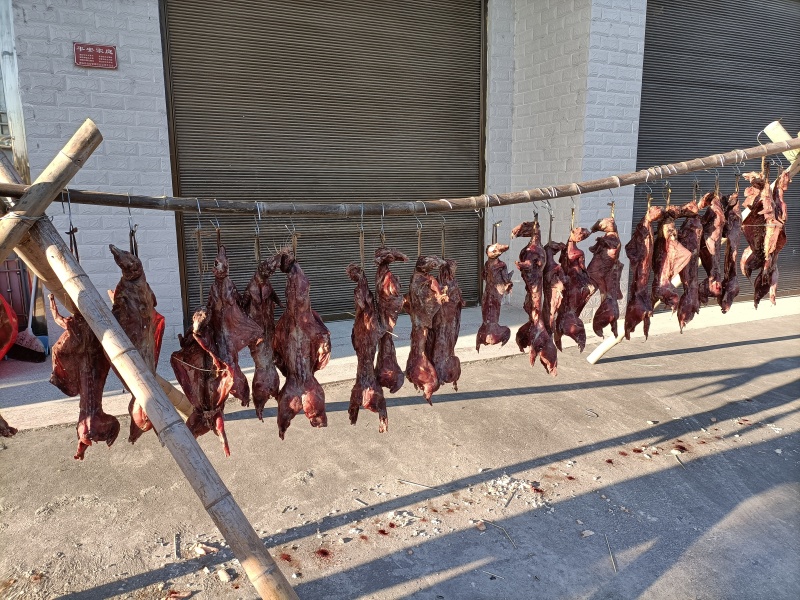 腊兔腊肉家乡特产舌尖上的美味