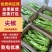 热卖尖椒山东省济南商河县尖椒大量上市，欢迎电联