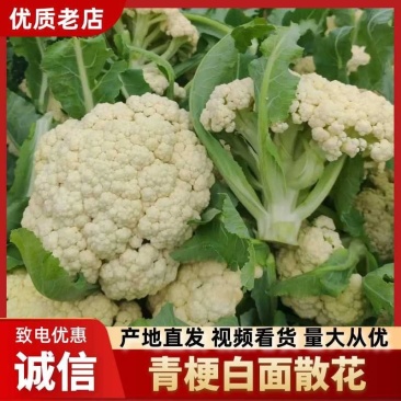 安徽宿州松花菜散花青梗白面小米粒产地直发