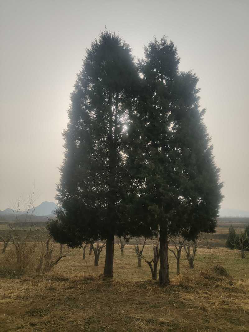 35年侧板
