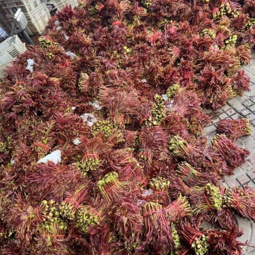 红油香椿芽