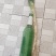 玉田大葱，0.25一斤