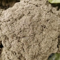 石磨绒三年陈艾绒艾草绒纯艾绒黄金艾绒