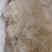 小龙须精品拉丝雪燕供应大货电商