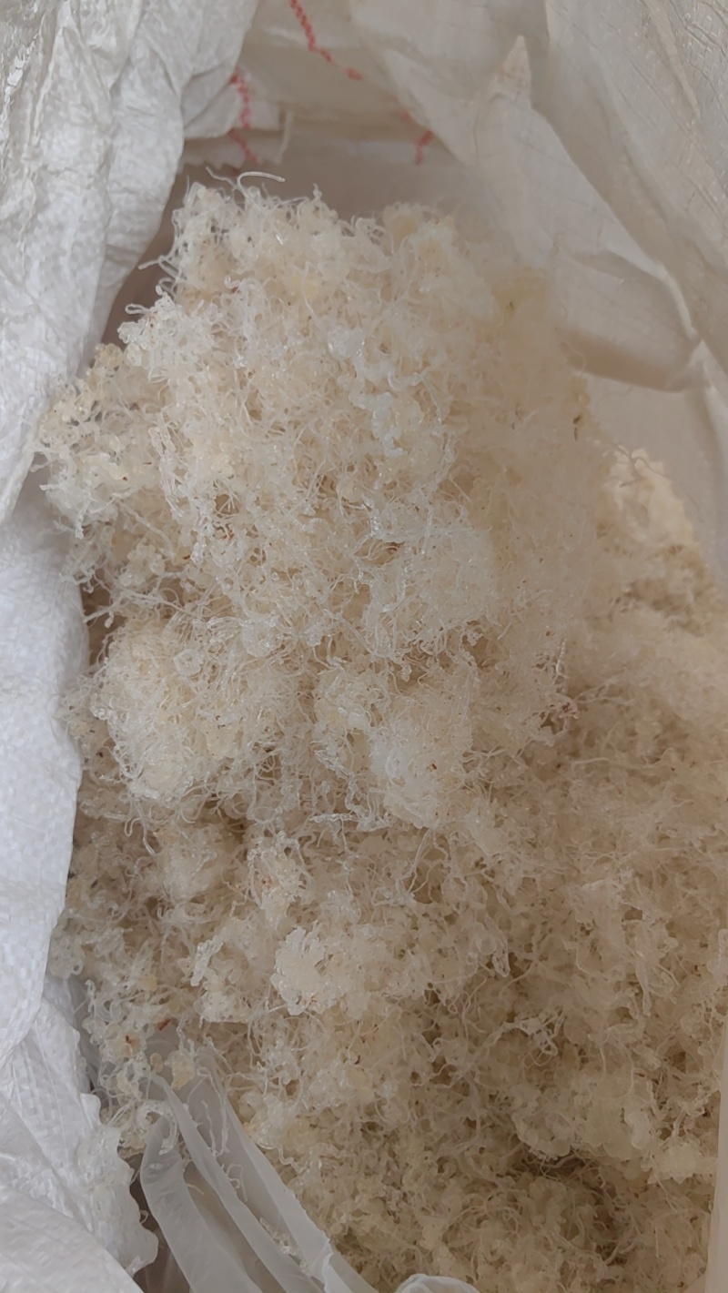 小龙须精品拉丝雪燕供应大货电商