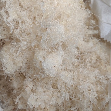小龙须精品拉丝雪燕供应大货电商