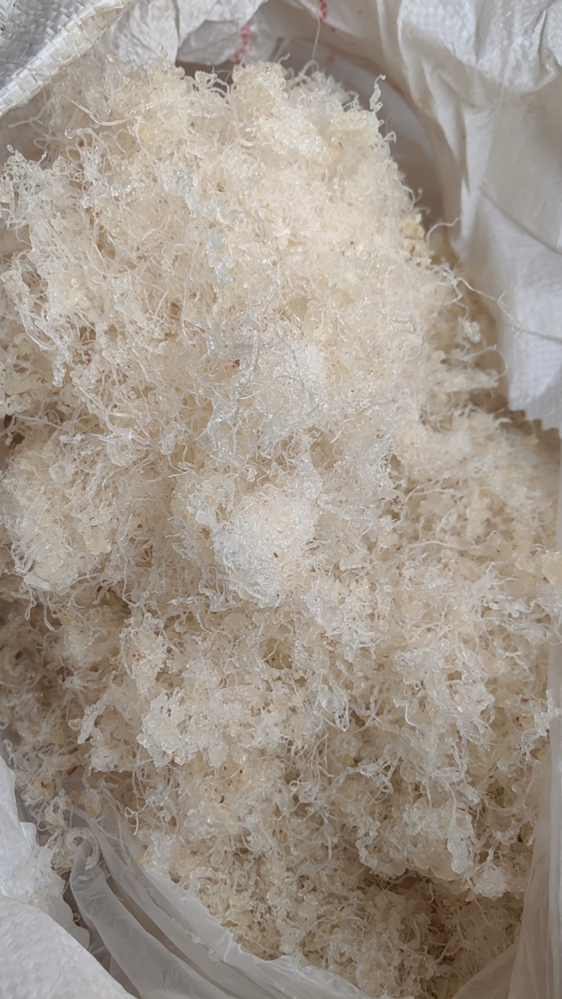 小龙须精品拉丝雪燕供应大货电商