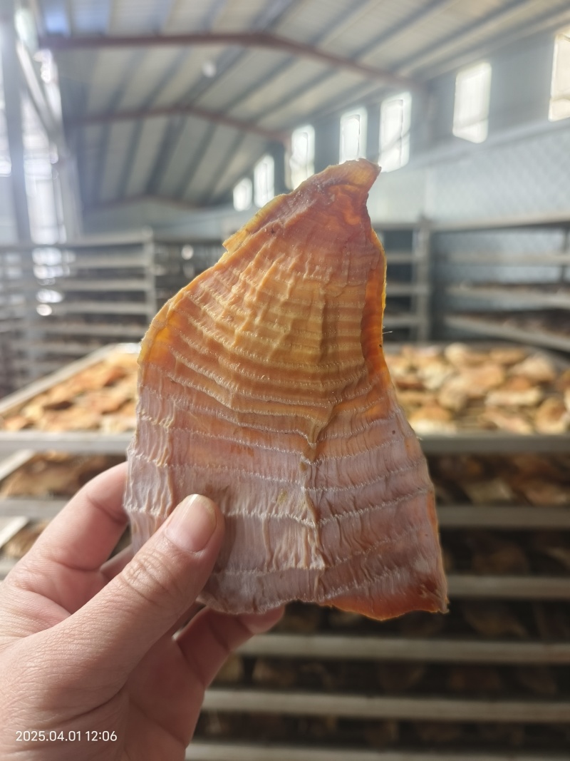 笋干玉兰片