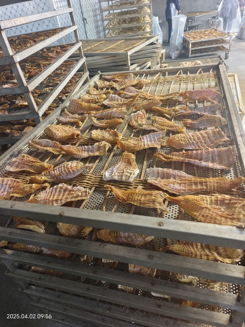 笋干玉兰片