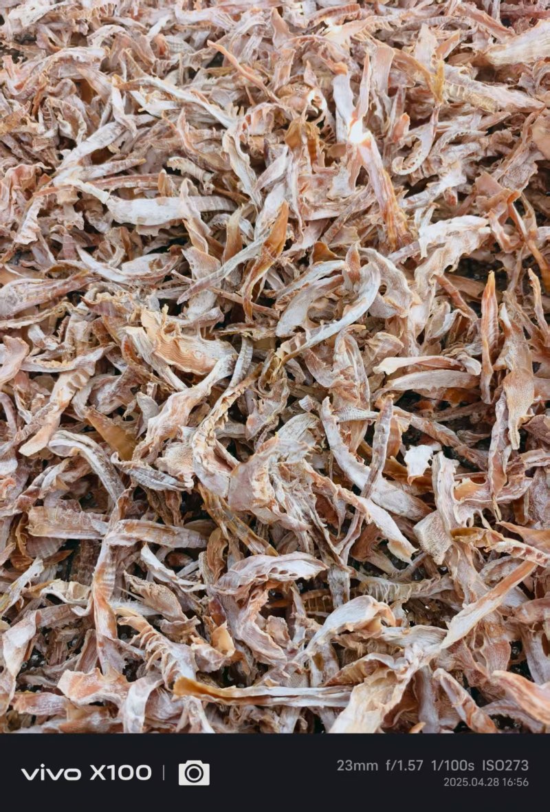 笋干尖片