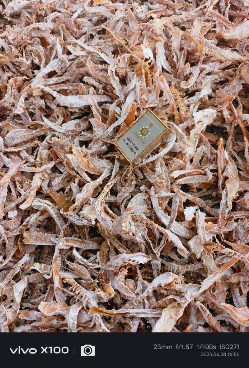 笋干尖片