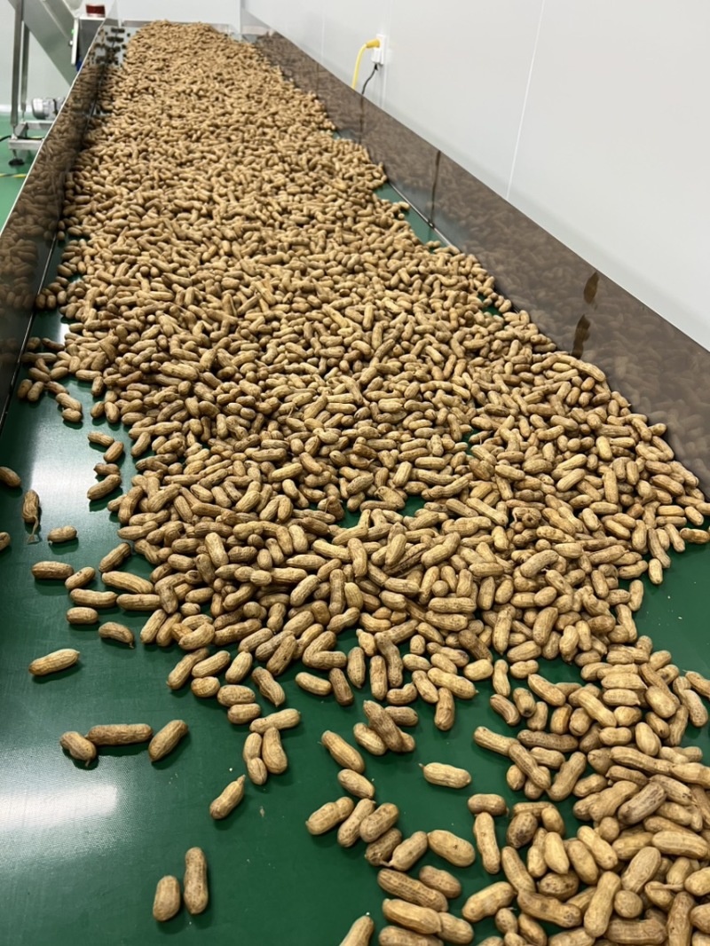 花生零防腐水煮五香花生笼蒸花生开袋即食餐饮大排档必备