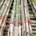 毛竹青竹梢大量上市0.6米至4米各种规格，品种齐全欢迎订