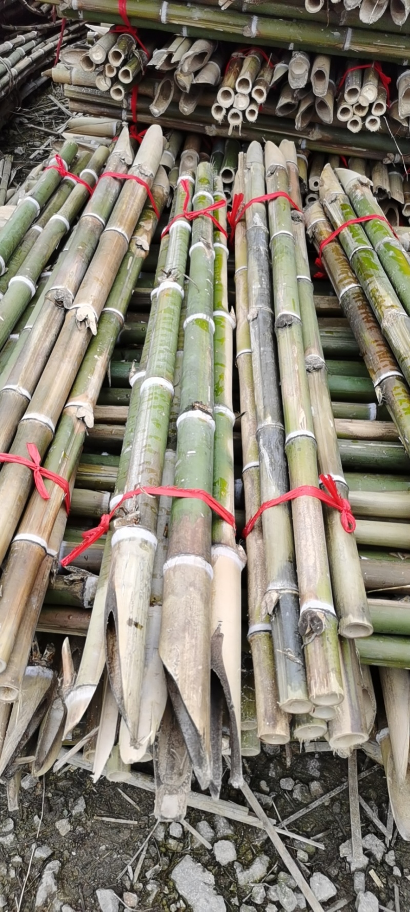 毛竹青竹梢大量上市0.6米至4米各种规格，品种齐全欢迎订