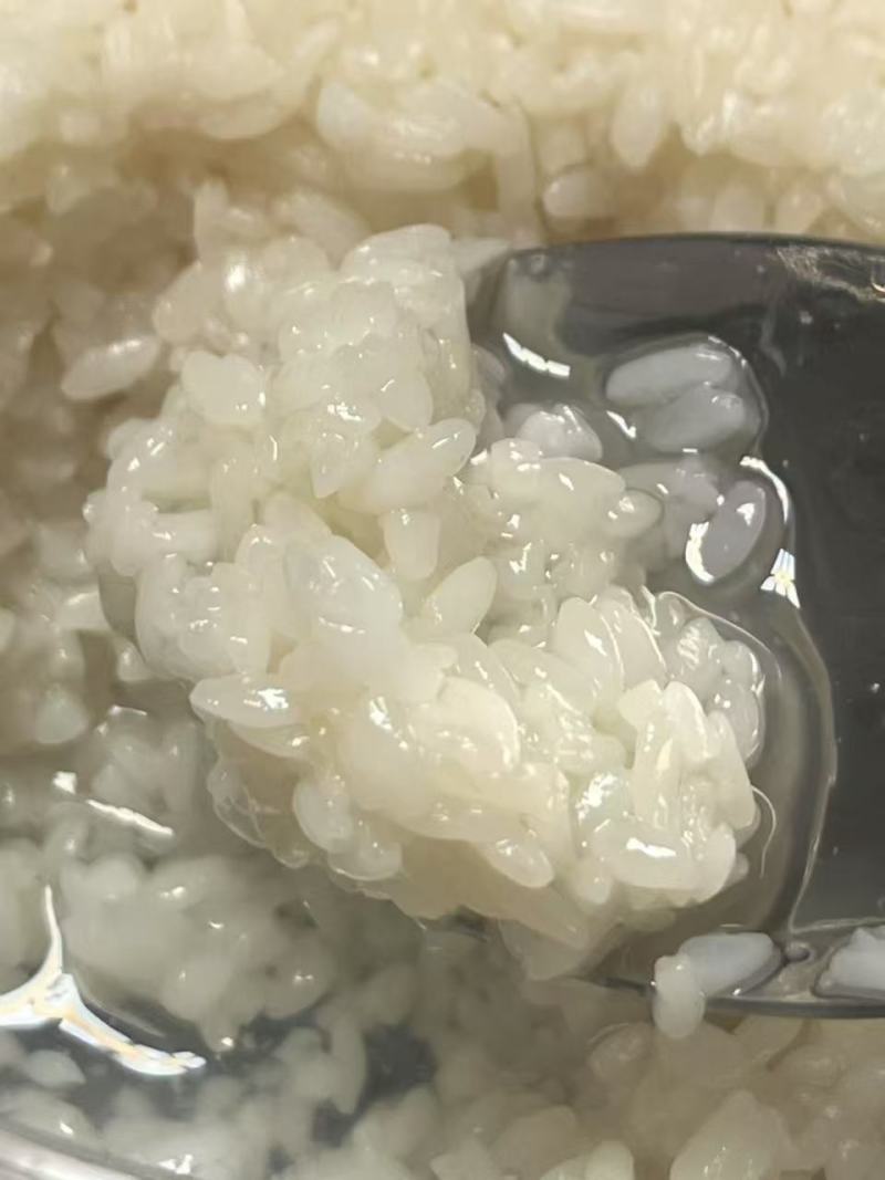 醪糟，自己制作