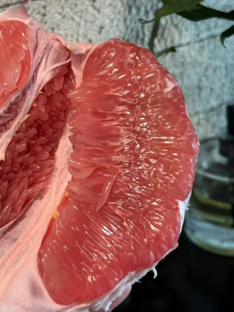 平和红心柚