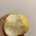 【山西酥梨】酥梨货源充足持续供应代发全国市场