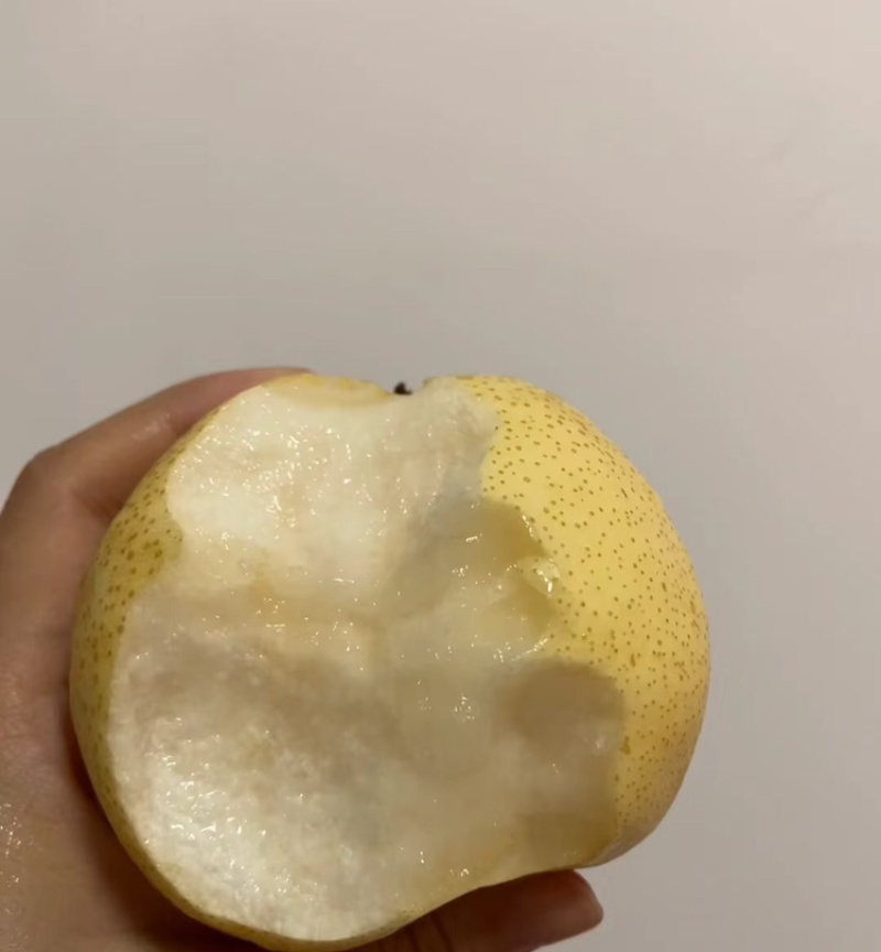 【山西酥梨】酥梨货源充足持续供应代发全国市场