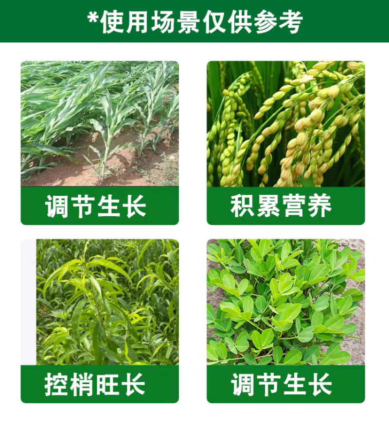 磨姑云10%调环酸钙花生生长植物调节剂农药