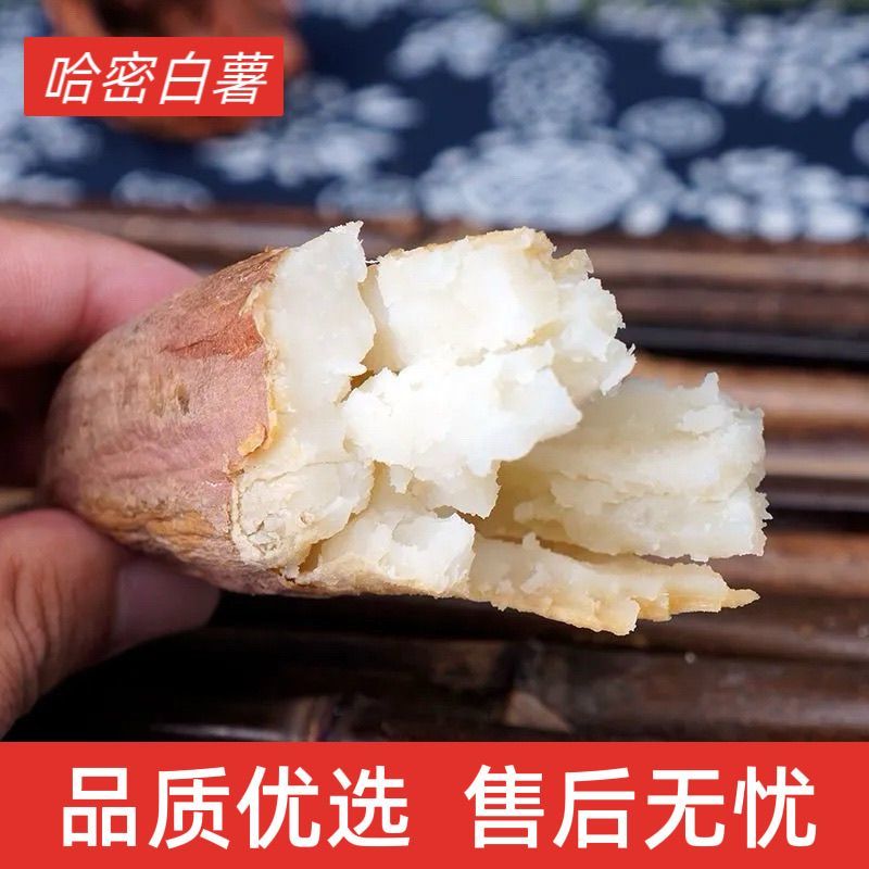 哈密薯白心红薯冰糖心蜜薯香甜无丝保质保量量大从优
