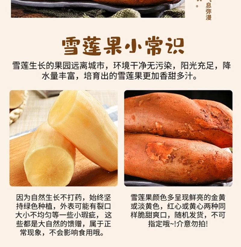 天山雪莲果云南雪莲果/产地货源/质量三包/一件代发
