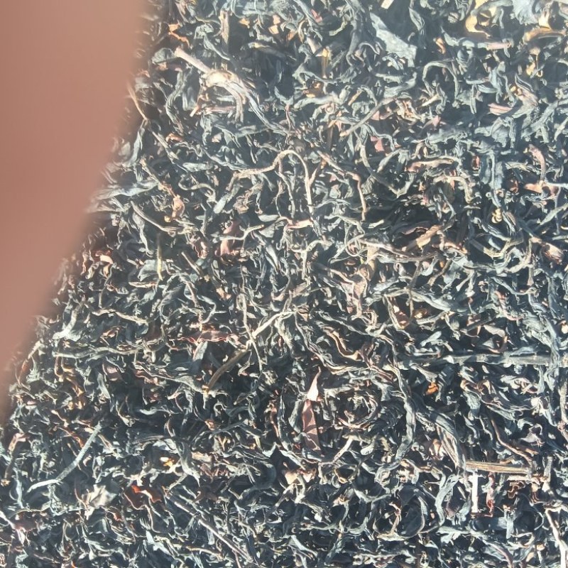 古树野生红茶