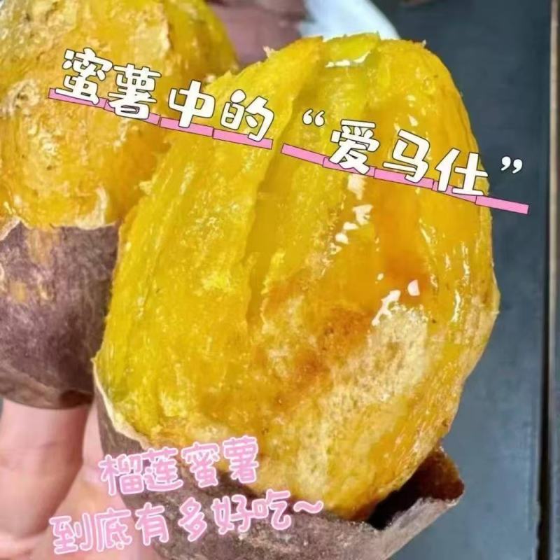 榴莲蜜薯口感粉糯香甜红瑤美秀蜜薯香薯按需包装