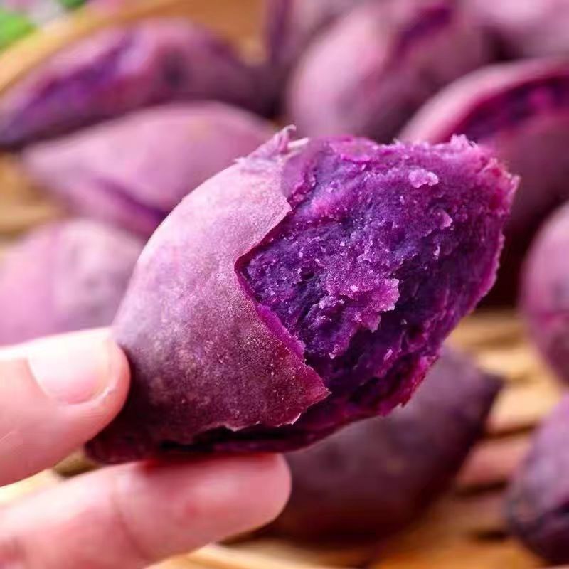 紫薯现挖现发河北雄县水洗紫薯精品红薯市场批发电商