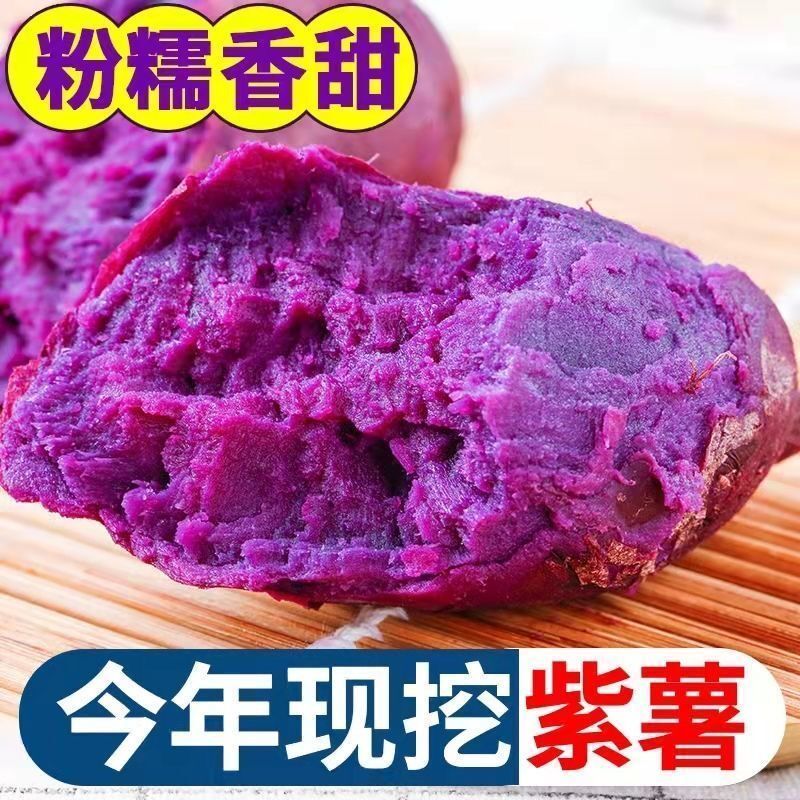 紫薯现挖现发河北雄县水洗紫薯精品红薯市场批发电商
