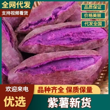 紫薯现挖现发河北雄县水洗紫薯精品红薯市场批发电商