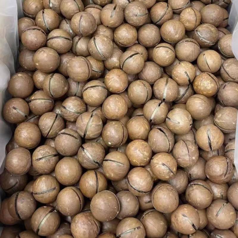 (电商专用)夏威夷果一件代发