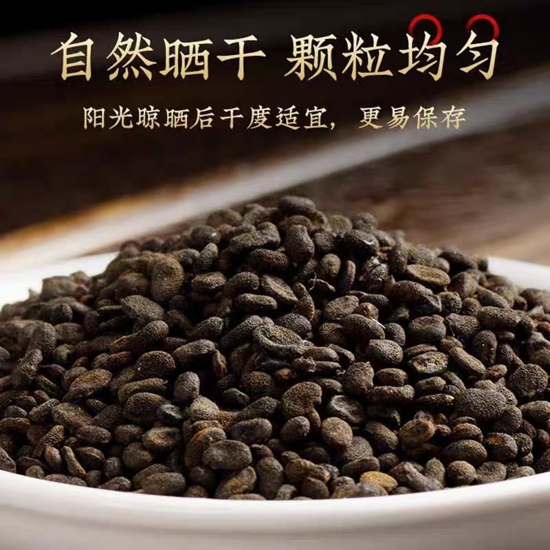 补骨脂中药材水洗补骨脂无硫饱满无杂质中药材