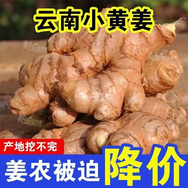 小黄姜一件代发产地直供一件代发批发社区团购供货