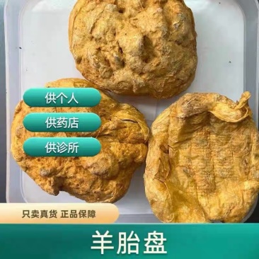 羊胎盘烘干羊胎盘中药材原料羊胎衣纯正品