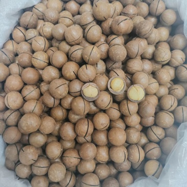 夏威夷果