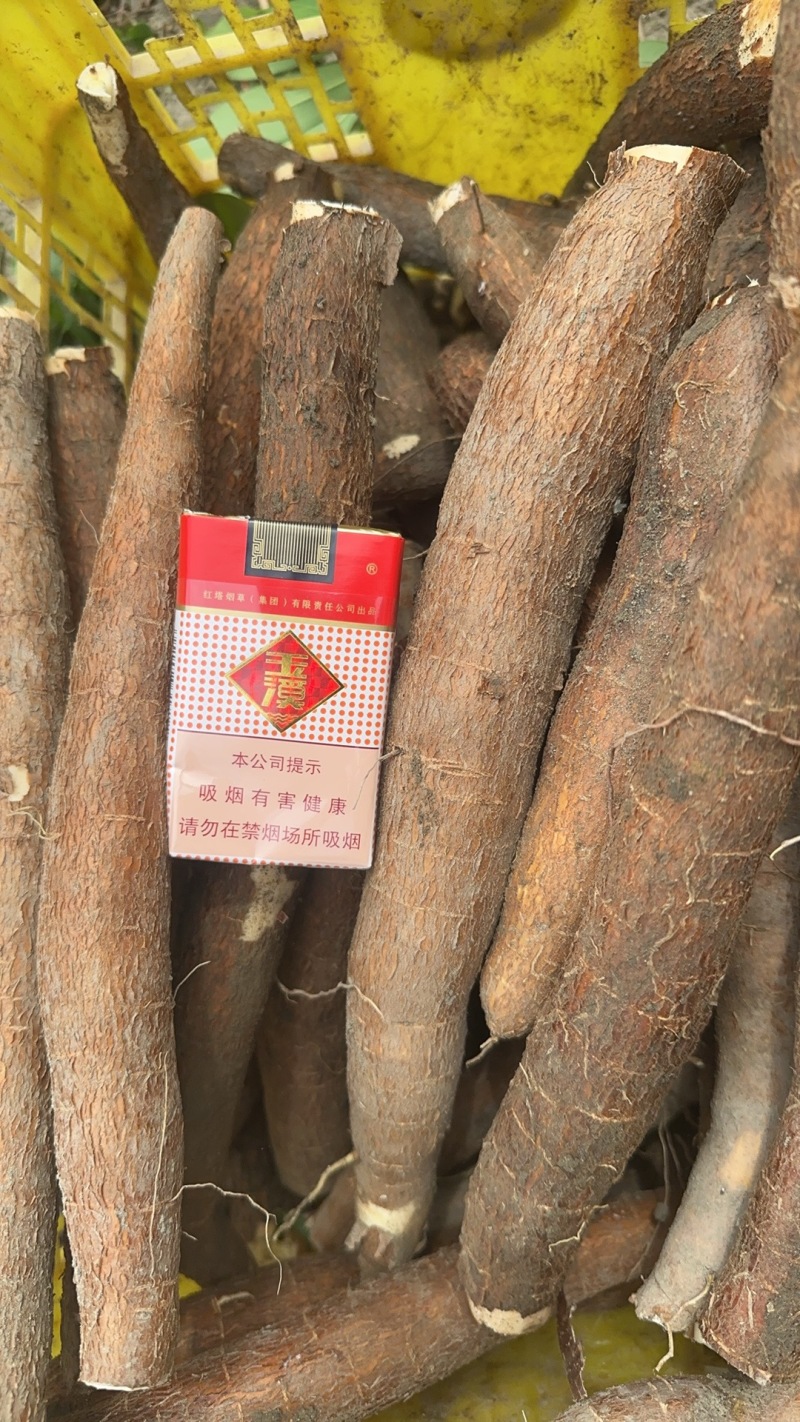 黄肉木薯口感大量上市，全国供应质量保证欢迎新老客户采购