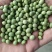 青豆,青豆芽苗菜专用货源充足量大从优诚信经营