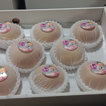 山东莱阳秋月梨